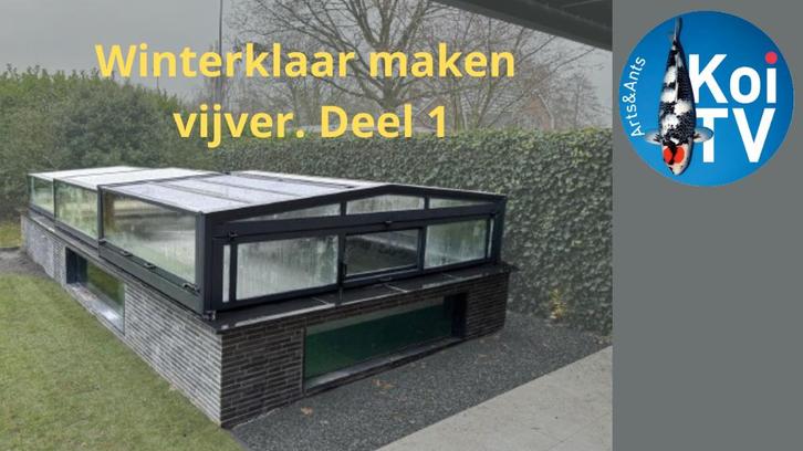 koi vijver winterklaar maken, Dieren en Toebehoren, Vissen | Vijvervissen, Karper of Koi