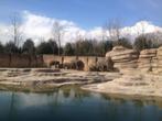 € 4,00 korting pp WILDLANDS Adventure Zoo Emmen (max 5 pers), Tickets en Kaartjes, Drie personen of meer, Kortingskaart