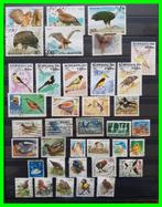 kavel Vogels  *1, Postzegels en Munten, Postzegels | Volle albums en Verzamelingen, Ophalen of Verzenden, Buitenland