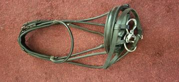 Rondgestikt hoofdstel maatje Cob  beschikbaar voor biedingen