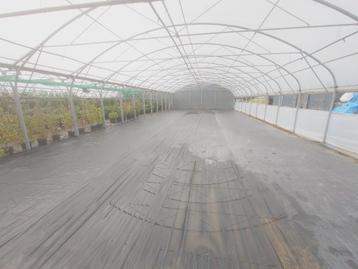 Te Huur: Tunnel/ Kas/ Koepel beschikbaar voor biedingen