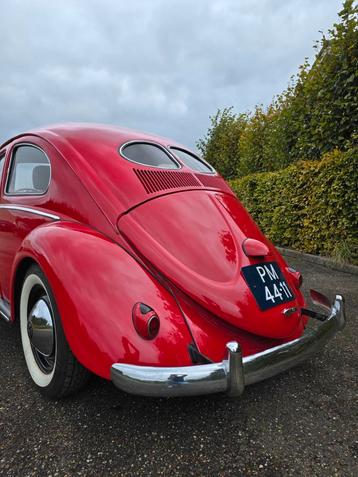 Vw brilkever zwitter custom beschikbaar voor biedingen