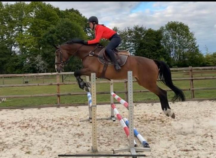Bijrijder/leaser aangeboden, Dieren en Toebehoren, Paarden en Pony's | Overige Paardenspullen, Ophalen of Verzenden