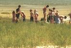 990021	Terschelling	Veerboot	_Gelopen met mooie zegel	Kunstp, Ophalen of Verzenden, Gelopen, Waddeneilanden