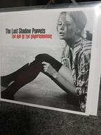 The Last Shadow Puppets - Age Of The Understatement, Ophalen of Verzenden, 2000 tot heden, Gebruikt