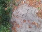 Zwarte grond, Tuin en Terras, Zand, Ophalen, Gebruikt, Overige typen