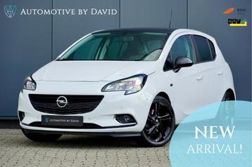 Opel Corsa 1.0 TURBO 116 pk COLOR EDITION / ACHTERUITRIJCAME beschikbaar voor biedingen