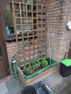 Plantenbak en trellis, Tuin en Terras, Bloembakken en Plantenbakken, Ophalen, Gebruikt, 60 tot 100 cm, Rechthoekig
