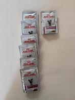 Royal Canin l niervoeding, Dieren en Toebehoren, Dierenvoeding, Ophalen of Verzenden, Kat