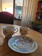 oud sevies, Antiek en Kunst, Antiek | Servies compleet, Ophalen of Verzenden