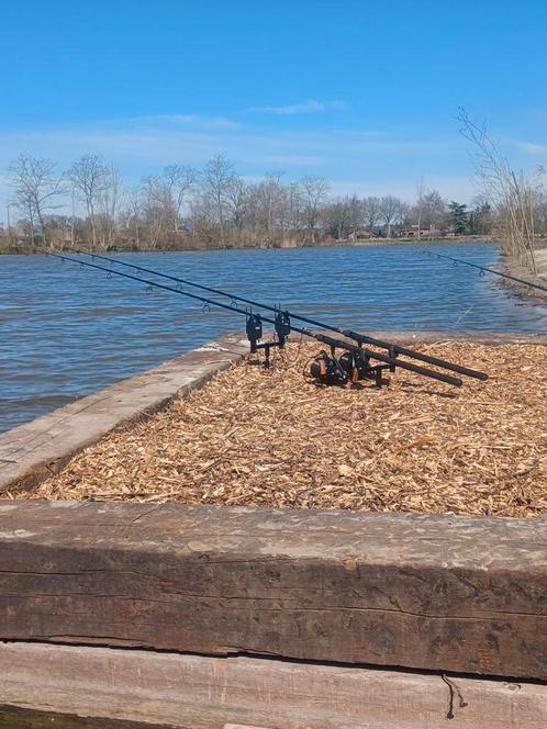 Twee mooie karperhengels, Watersport en Boten, Hengelsport | Karpervissen, Zo goed als nieuw, Werphengel, Ophalen of Verzenden