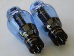 Sophia Electric buizen NIEUW!, Ophalen of Verzenden, Buis of Buizen