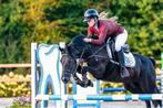 Stoere fanatieke D pony, Dieren en Toebehoren, Ruin