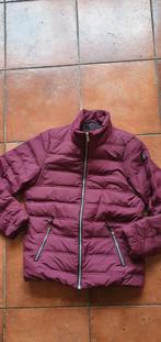 GAASTRA BORDEAUX RODE DONSJAS DAMES MAAT XL, Kleding | Dames, Gaastra, Maat 46/48 (XL) of groter, Nieuw, Ophalen of Verzenden