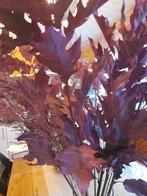 Gedroogde herfst blaadjes/takken, Huis en Inrichting, Woonaccessoires | Droogbloemen, Ophalen, Zo goed als nieuw