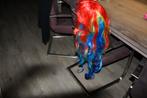 Zeer kleurrijke pruik lang haar, Ophalen of Verzenden, Zo goed als nieuw, Carnaval, Accessoires