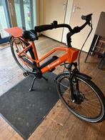 Elektrische thuisbezorgd fiets, Fietsen en Brommers, Elektrische fietsen, Nieuw, 50 km per accu of meer, Ophalen