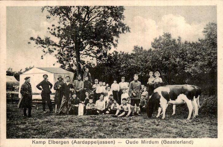 Kamp Elbergen, Verzamelen, Ansichtkaarten | Nederland, Gelopen, Friesland, 1940 tot 1960, Ophalen of Verzenden