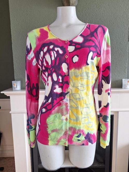 Blumarine fel gekleurd vest mt 40 gratis verz in NL, Kleding | Dames, Truien en Vesten, Gedragen, Maat 38/40 (M), Overige kleuren