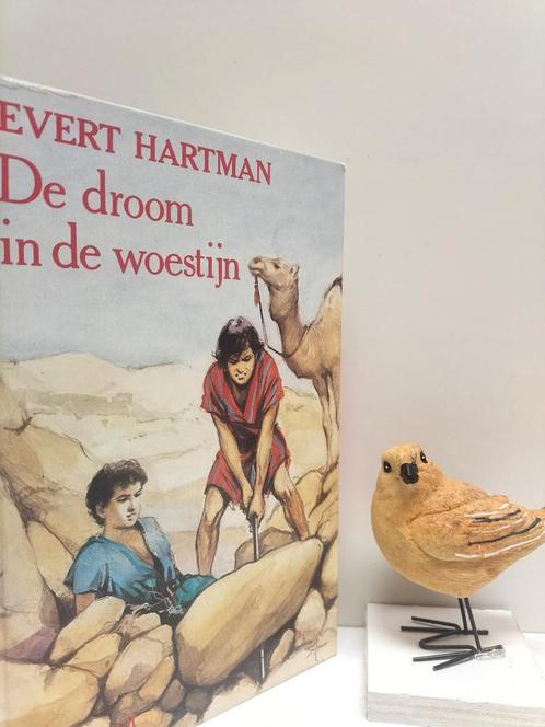 Hartman, Evert; De droom in de woestijn, Boeken, Kinderboeken | Jeugd | 13 jaar en ouder, Gelezen, Ophalen of Verzenden