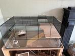 Goud hamster kooi zwart 80 x 49 x 22 cm, nieuw!!, Dieren en Toebehoren, Minder dan 60 cm, Kooi, Ophalen of Verzenden, Zo goed als nieuw