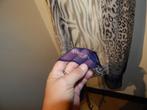 Marccain grote zijde shawl animal print uiteinde paars, Kleding | Dames, Mutsen, Sjaals en Handschoenen, Marccain, Verzenden, Gedragen