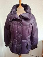 Winterjas, C'Sense, mt. 38, Kleding | Dames, Maat 38/40 (M), C'Sense, Paars, Ophalen of Verzenden