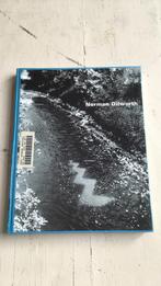 Norman Dilworth, Boeken, Kunst en Cultuur | Beeldend, Ophalen of Verzenden, Zo goed als nieuw