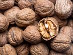 Verse Walnoten, Diversen, Ophalen
