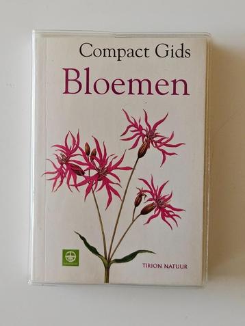 Compact gids Bloemen beschikbaar voor biedingen