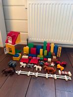 Duplo, Kinderen en Baby's, Overige merken, Gebruikt, Ophalen of Verzenden