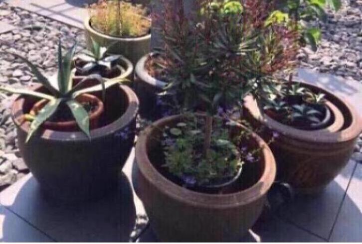 Oude grote terracotta bloempotten diverse beste kwaliteit, Tuin en Terras, Bloempotten, Zo goed als nieuw, Terracotta, Binnen
