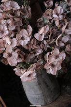 Ranunculus cappuccino ranonkel zijdebloemen, Www.jufbrocante.nl, Www.jufbrocante.nl, Nieuw, Ophalen of Verzenden