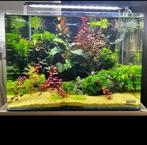 Dennerle nano tank plant pro 35 liter helemaal compleet, Dieren en Toebehoren, Vissen | Aquaria en Toebehoren, Ophalen, Zo goed als nieuw