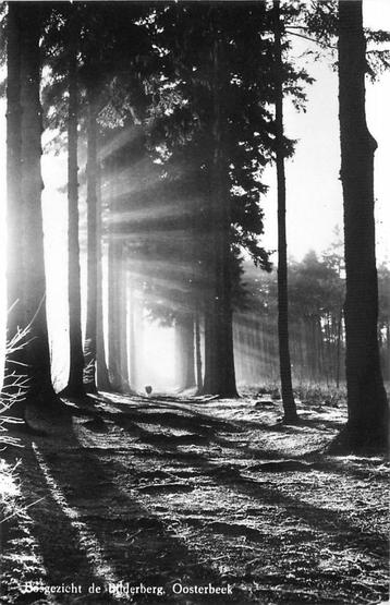 (387-256-041) Oosterbeek Bosgezicht de Bilderberg beschikbaar voor biedingen