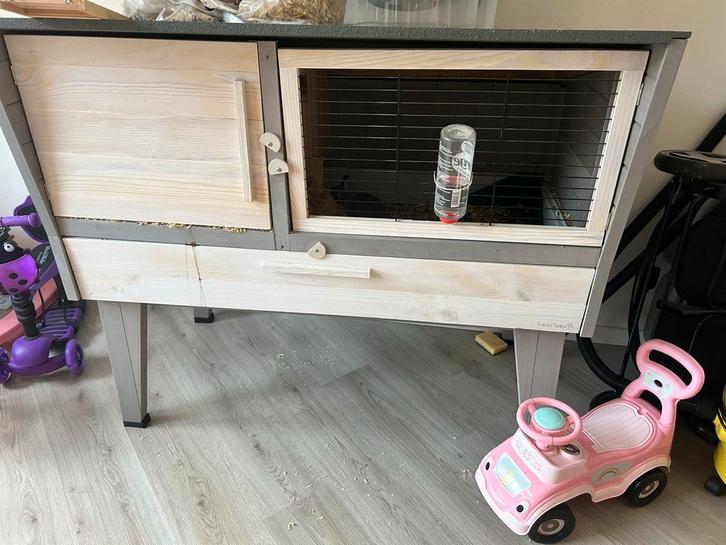 Konijn + hok, Dieren en Toebehoren, Konijnen, Middelgroot, Mannelijk