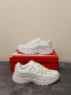 Nike P6000 Wit - Nieuw in Doos - Maat 39, Kleding | Dames, Schoenen, Wit, Nike, Nieuw, Ophalen of Verzenden