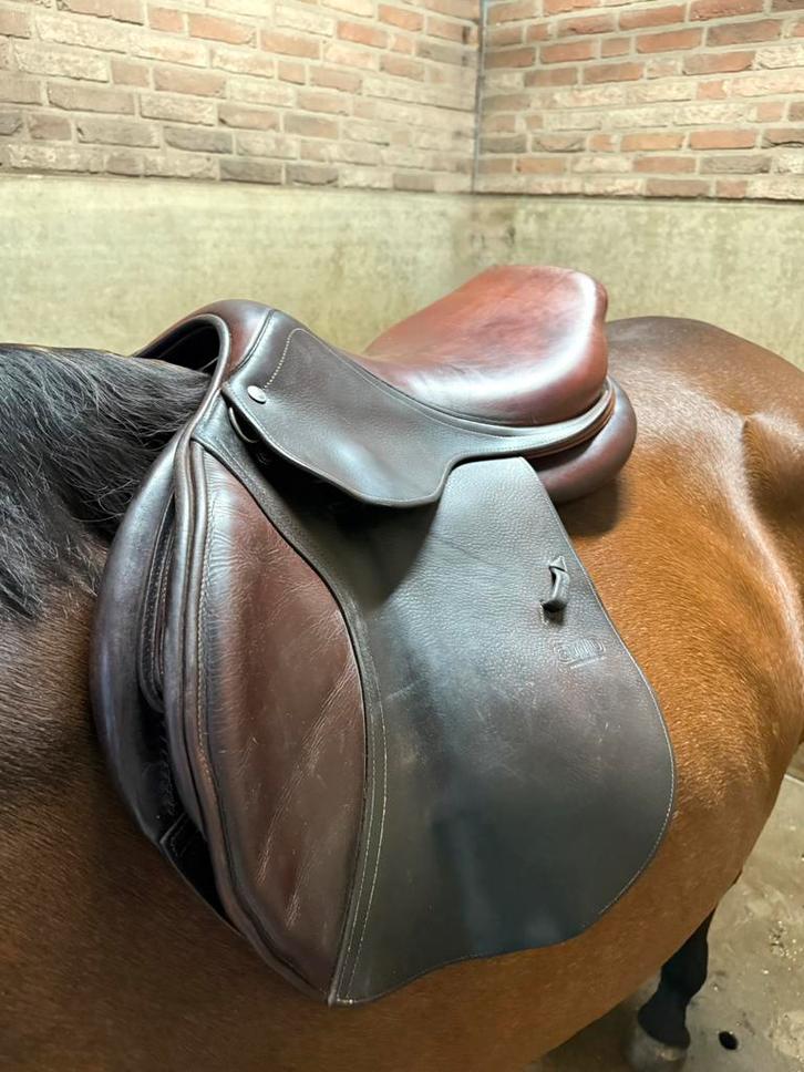 CWD SE02 springzadel bruin | 17 inch, Dieren en Toebehoren, Paarden en Pony's | Zadels, Zo goed als nieuw, Springen, Ophalen