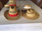 4 hoeden, Ophalen, Zo goed als nieuw, One size fits all, Hoed