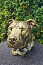 Polyester honden kop ook bruikbaar als urn, Tuin en Terras, Tuinbeelden, Ophalen of Verzenden, Nieuw, Kunststof, Dierenbeeld