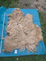 Mergellandschaap, Ruwe wol 4, Hobby en Vrije tijd, Ophalen of Verzenden, Zo goed als nieuw