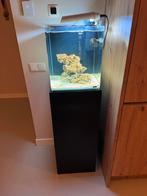 Zeewateraquarium met techniek (zonder steen), Dieren en Toebehoren, Vissen | Aquaria en Toebehoren, Ophalen, Gebruikt, Leeg aquarium