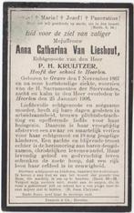 Anna Cath. van Lieshout 1867 Grave + 1906 Heerlen, 38 jaar, Verzenden