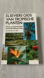 Gids van tropische planten, Tuin en Terras, Ophalen of Verzenden, Overige soorten, Halfschaduw