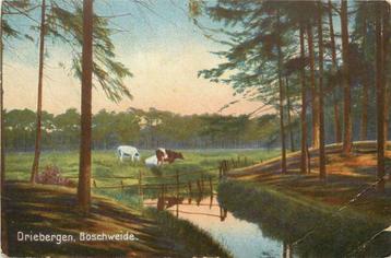 (388-367-021) Driebergen-Rijsenburg Boschweide beschikbaar voor biedingen