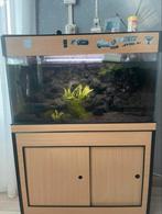 aquarium  rond 40 vissen gupies, Dieren en Toebehoren, Vissen | Aquaria en Toebehoren, Ophalen of Verzenden, Zo goed als nieuw