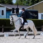 Prachtige PRE Sport Merrie, Dieren en Toebehoren, Paarden, Merrie, Minder dan 160 cm, Z, Gechipt