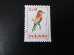 Postzegel Vogel: Bijeneter uit Moldavië, Ophalen of Verzenden, Gestempeld, Dier of Natuur