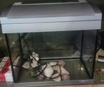 siervissen aquarium, Dieren en Toebehoren, Ophalen of Verzenden, Zo goed als nieuw