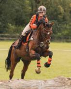 Cross Set Eventing Set Oranje Full M, Ophalen of Verzenden, Gebruikt, Dekje